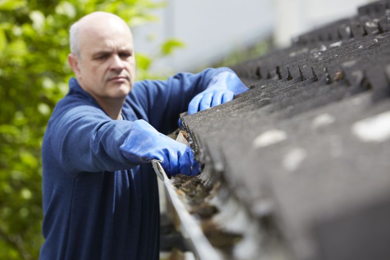 Gutter Maintenance Technicians
